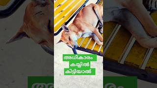 An innocent sleep with nostalgic earshot | Mov~sanmanasulla.... #indianrailways #thrissur #ytviral