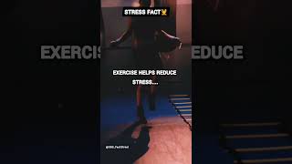 Stress Fact: Exercise Eases Stress 🏋️‍♀️ #shortsfeed #factsshorts #viralvideo #trending #shorts