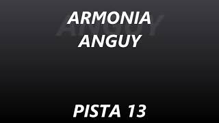 ARMONIA ANGUY - PISTA 13 - PIEDRA LIZA