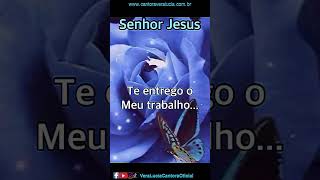 Te peço Jesus: cuida Senhor!