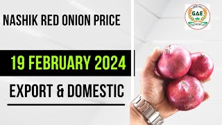 19 Feb 2024 | Nashik Onion Price Update | Export and Domestic Quality Onion| Indian Onion Exporter