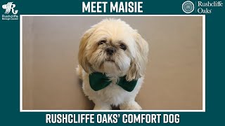 Rushcliffe Oaks welcome Maisie the comfort dog