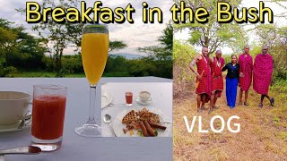 BREAKFAST IN THE BUSH/ MAASAI TRADITIONAL DANCE @TravelThirstyBlog @AfricanRemotesExplorer#love