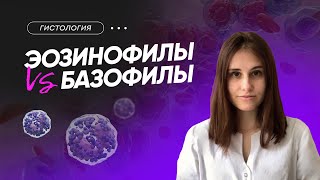 Гистология |Эозинофилы vs. Базофилы