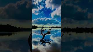 Mirror reflection of the lake #shortvideo  #video  #reels