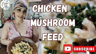 chicken mushroom feed for special guest |tutorial cooking| step by step