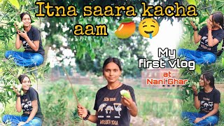 First Vlog: Mango Harvest at Nani's House, Itna sara kacha aam