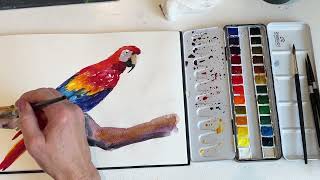 Paint A Scarlet Macaw