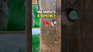 Заглушка для отверстий. Чем закрыть отверстие в древесине #заглушка #своимируками #работаподереву