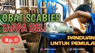 Cara mengobati penyakit SCABIES (gudig) pada KELINCI tanpa modal