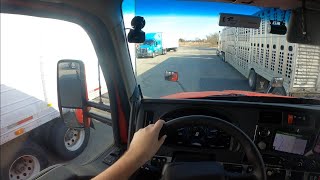 | CFI | This Shipper Had INSANE RULES!!!! | Rookie Trucking Vlog |OTR Trucking Life