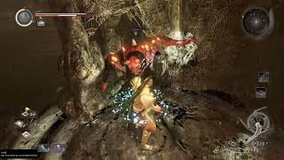 Nioh: Complete Edition_Tag Team