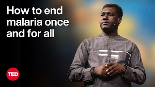 How to End Malaria Once and for All | Abdoulaye Diabaté | TED