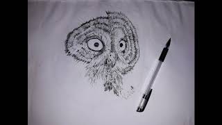 Puszczyk mszarny - Great grey owl [rysunek/drawing]