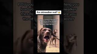 are skinwalker real? 😱 #paranormal  #skinwalker  #reels #viral