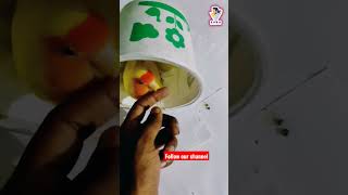 বৈয়াম পাখি #shortvideo #youtubeshorts #shortviral #shortsfeed #ytshort #ytshorts #shortsyoutube