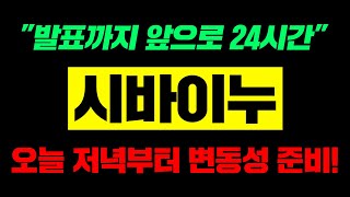 시바이누 "발표까지 앞으로 24시간" 오늘 저녁부터 변동성 준비! #시바이누 #시바이누전망 #시바이누코인