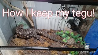 tegu care