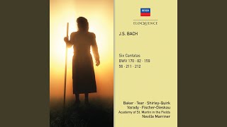 J.S. Bach: "Vergnügte Ruh, beliebte Seelenlust" Cantata, BWV 170 - 3. "Wie jammern mich doch...