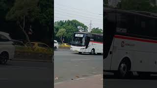 Bis Primajasa Jurusan Jakarta Tasik#shorts