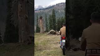 Bike Ride In Wild😇🌹💖🍁 #youtubeshorts #travelvlogs #kashmir #travel #viral