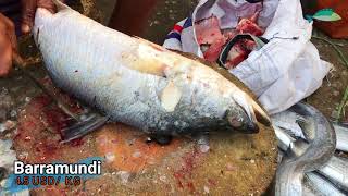 Big Barramundi Fish Cutting Skills/ Expert Fisherman Fish Cutting Skills In Fish Market