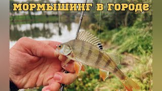 №5 Окунь и плотва на мормышинг #мормышинг