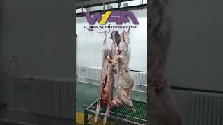 WFA Sheep Viscera and offal synchronous inspection conveyor for Goat slaughterhouse equipment