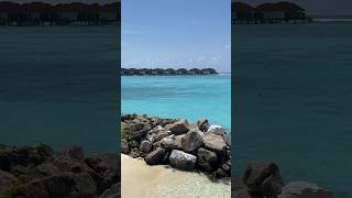 몰디브 리조트 워터빌라 떠나는 날 🌊 Maldives 🇲🇻