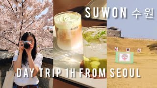 🇰🇷 Spring in Korea 🌸 why you should go outside of Seoul & UNESCO | Day Trip to Suwon