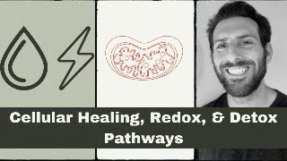 Cell Healing, Redox, & Detox Pathways