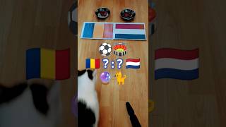 🇷🇴 Romania vs Netherlands 🇳🇱 who will win? Cat Oracle predicts match result. UEFA Euro 2024