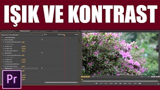 Işık ve Kontrast | Premiere Dersleri