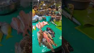 LUCENA CITY FISH MARKET / ISDA KAYO DYAN / #shorts #short #shortvideo #fishmarket