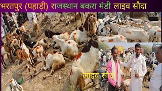 भरतपुर (पहाड़ी )बकरा मंडी राजस्थान!! Bharatpur pahadi Bakra Mandi Rajasthan.