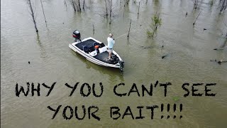 Garmin Livescope: Understanding Why You Can’t See your Bait!!!!