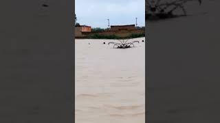 DG Khan flood | Tonsa flood | waseeb flood | Viral video of flood in Punjab Pakistan