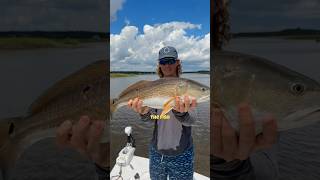 Can’t believe I actually caught THIS.. 😂 #redfish #fishing #saltwaterfishing #charleston