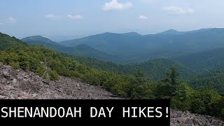 DAY HIKING: Visiting Shenandoah National Park and doing some hiking