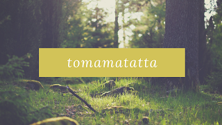 Прямая трансляция пользователя tomamatatta