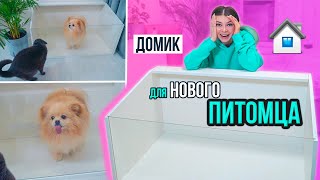 КЛЕТКА - ДОМИК ДЛЯ НОВОГО ПИТОМЦА | У НАС НОВЫЙ ПИТОМЕЦ - ЭЛИС И БАТТЕРС В ШОКЕ