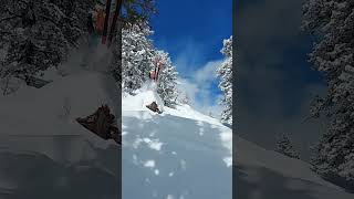 bluebird backflip #skiing #flips #send