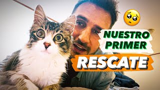 🐱Rescatamos un ADORABLE GATITO ABANDONADO 🥺 y le encontramos familia en TIEMPO RÉCORD! 😬