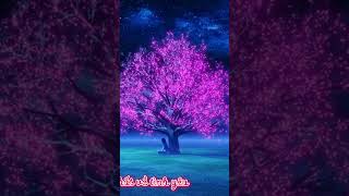 Nhạc nhẹ không lời hay nhất về tình yêu #relaxingmusic #deepsleep #dengu #nhackhongloi