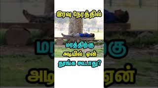 இரவு நேரத்தில் மரத்திற்கு அடியில் ஏன் தூங்க கூடாது?  #tamil