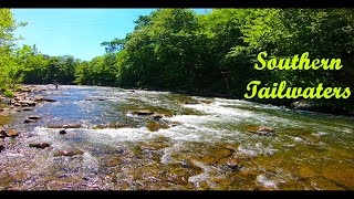 SOUTHERN TAILWATERS - N. Branch Potomac & Savage River (Summer Trout)