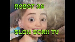 0087 Toonify SSTV Robot36