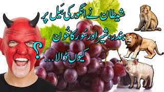 Shetan aur Angoor | Informative Video in Urdu Hindi