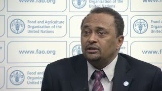 FAO Response Plan 2016 for El Niño in Ethiopia