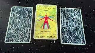 3-card readings 08/11/2024